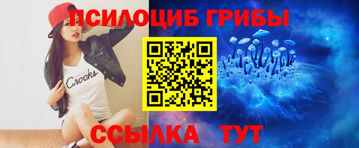 Псилоцибиновые грибы прущие грибы  Вход с VPN  Северодвинск 